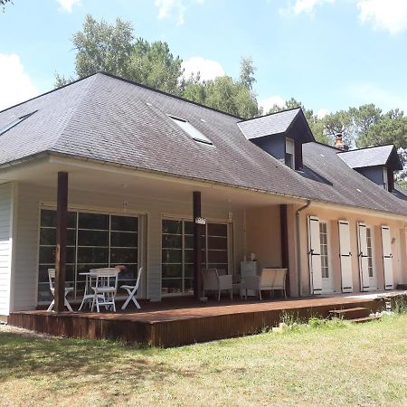 B&B La Foret De Charmeuse Ruaudin エクステリア 写真