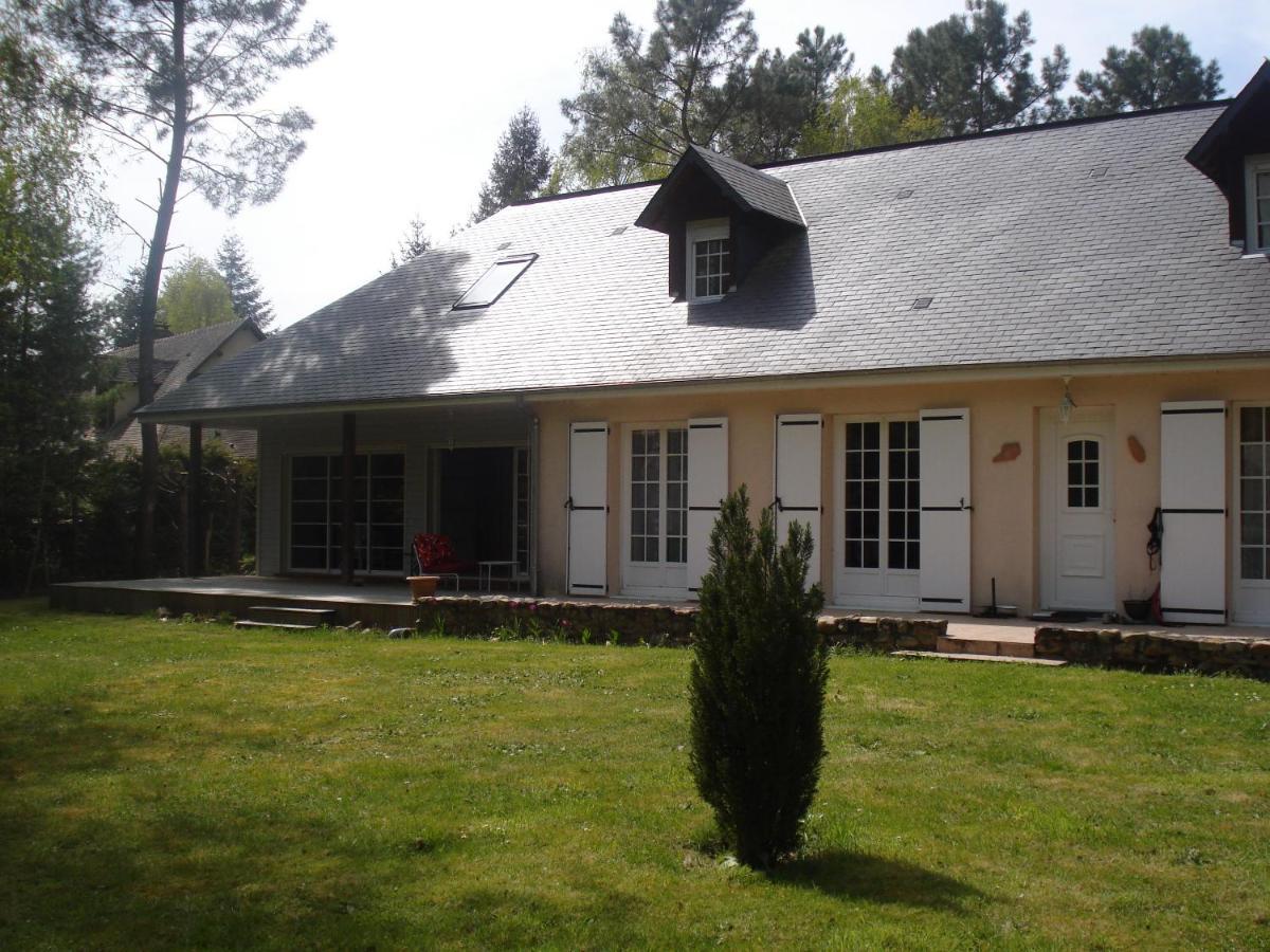 B&B La Foret De Charmeuse Ruaudin エクステリア 写真